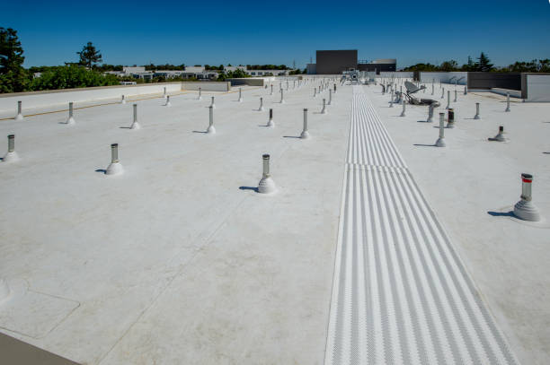 Best Roof Coating and Sealing  in Grosse Pointe, MI